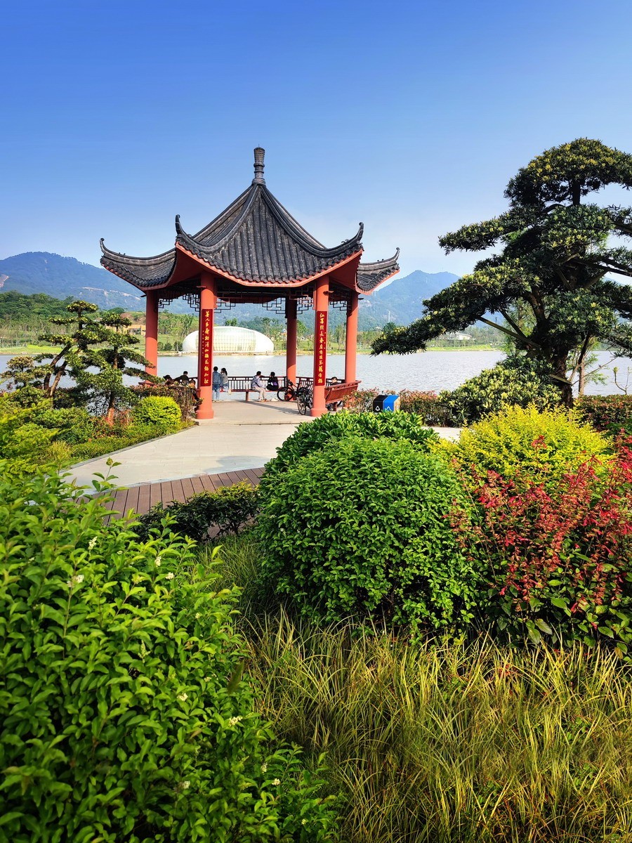 玉泉湖公园小景（第四集）——11P