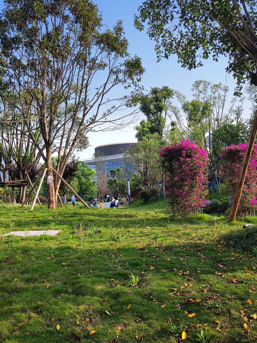 玉泉湖公园小景（第四集）——11P