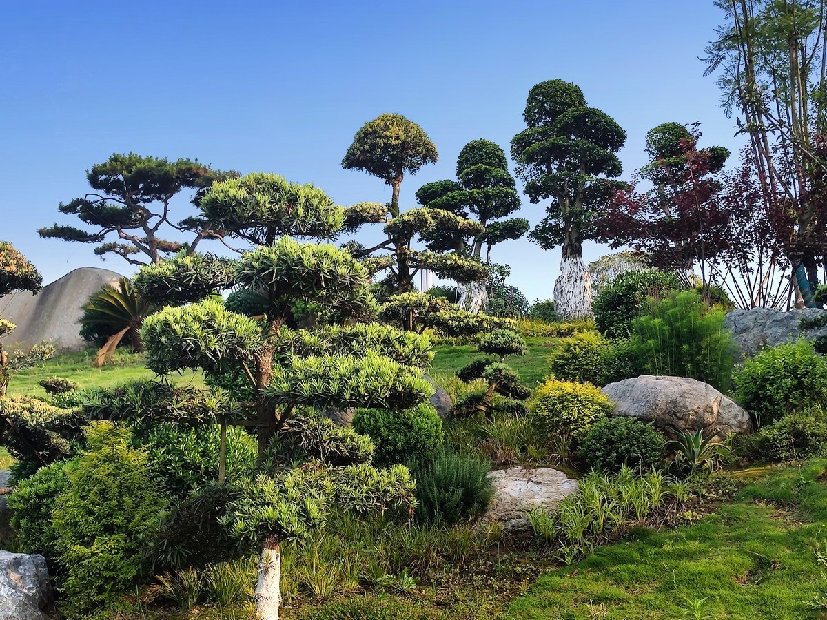 玉泉湖公园小景（第四集）——11P