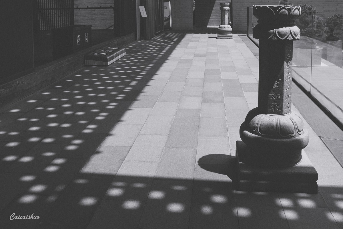 【菜々手摄影】黑白灰的世界~国庆寺街拍