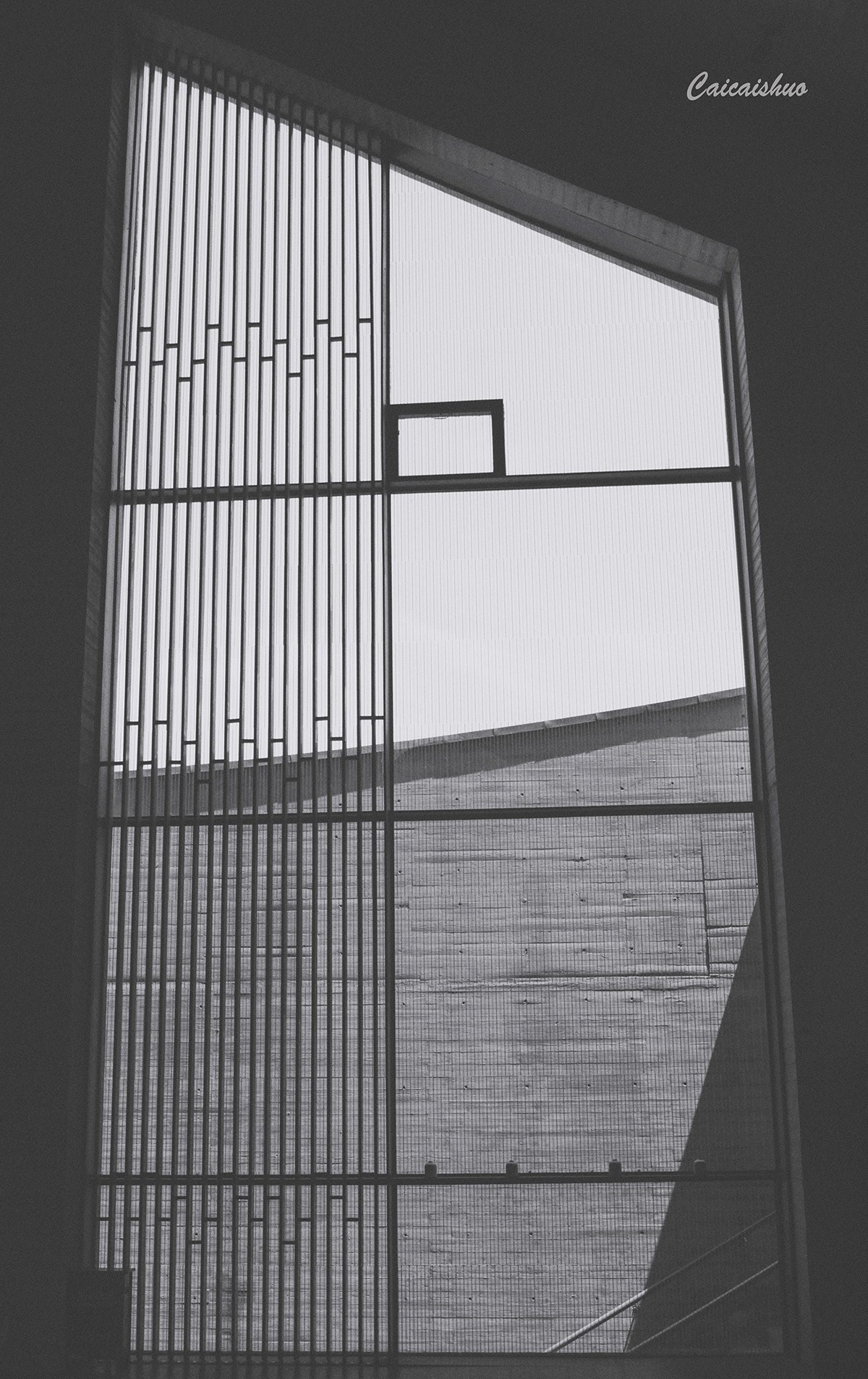 【菜々手摄影】黑白灰的世界~国庆寺街拍