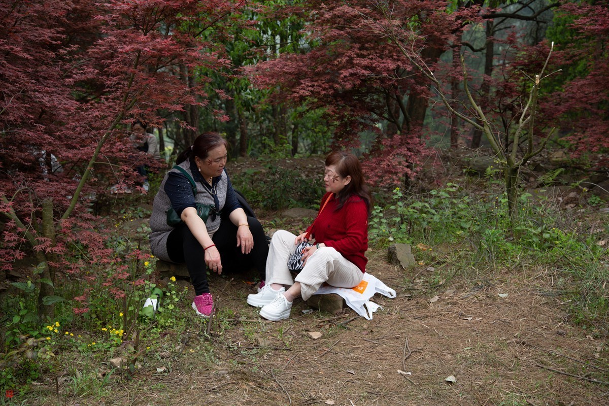 八塘黄金谷（7）