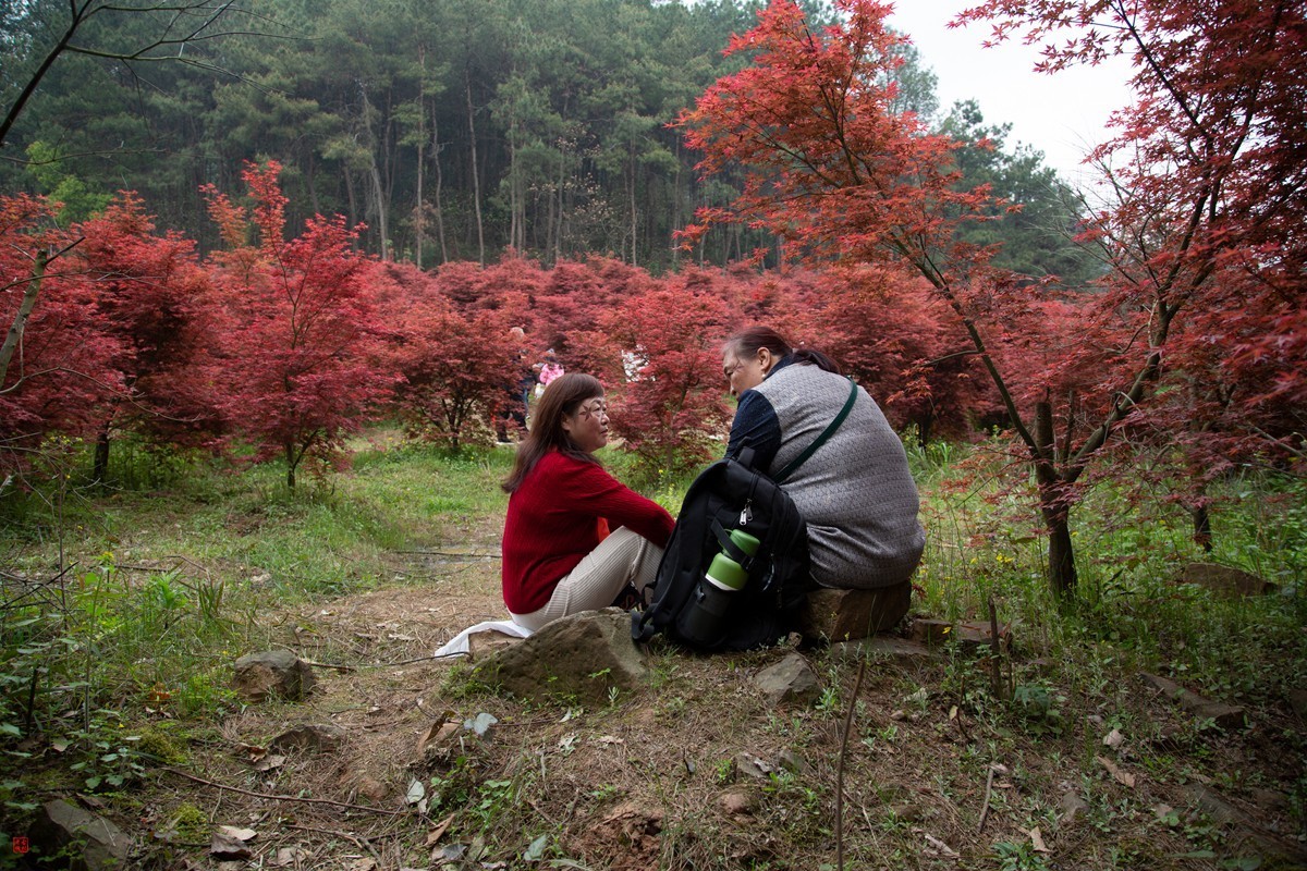 八塘黄金谷（7）