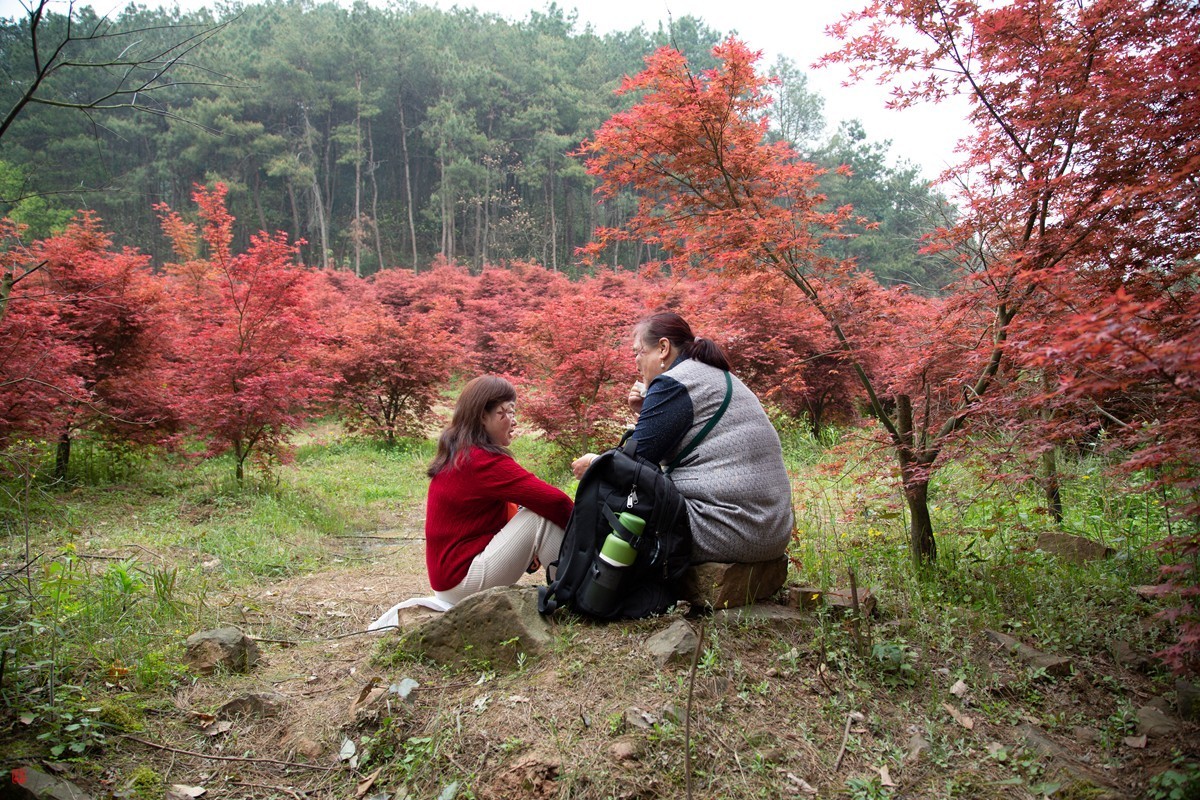 八塘黄金谷（7）