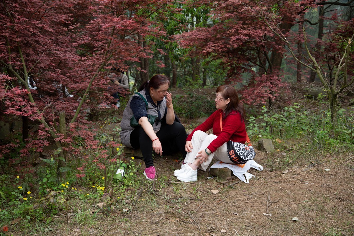 八塘黄金谷（7）