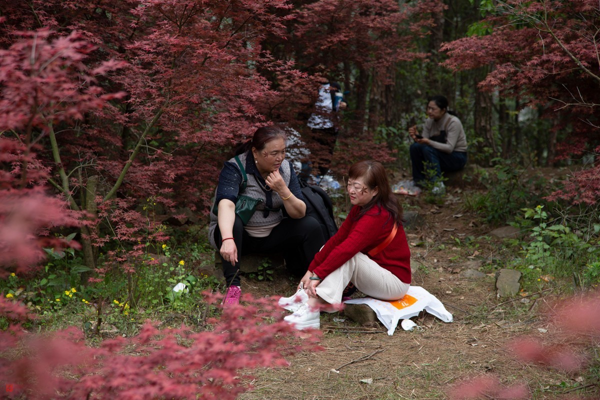 八塘黄金谷（7）