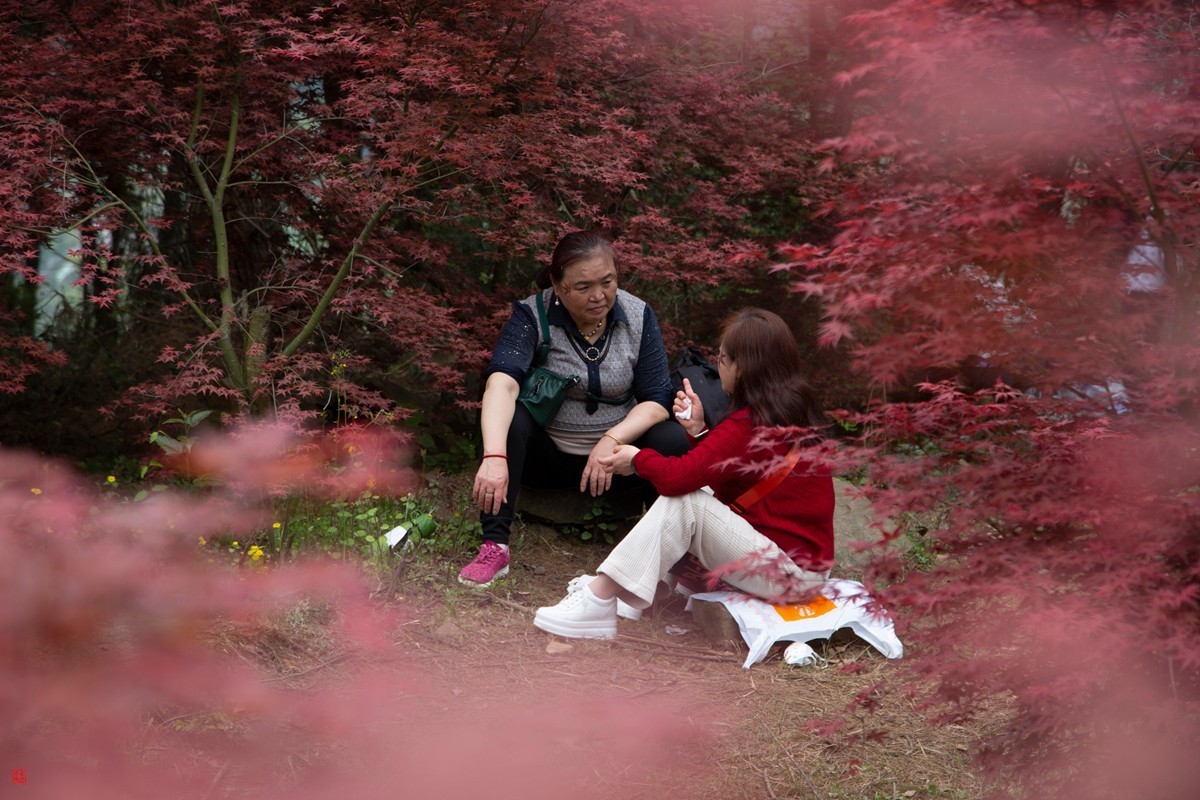 八塘黄金谷（7）