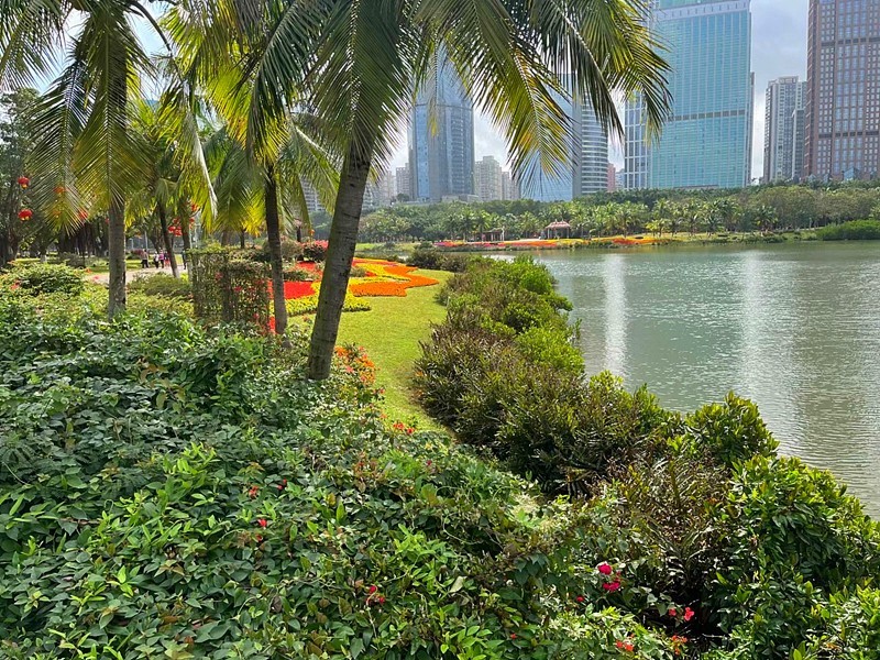 《不老松：纪实摄影》16我的妹妹、妹夫和姑爷自驾車海南环島游!