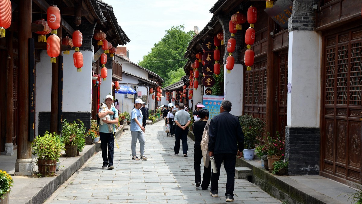 骆家坝游拍四（2023138）