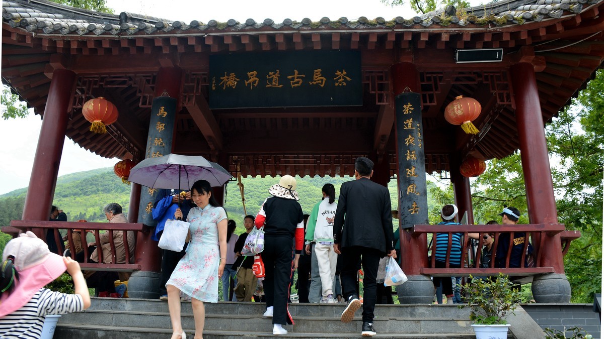 骆家坝游拍四（2023138）