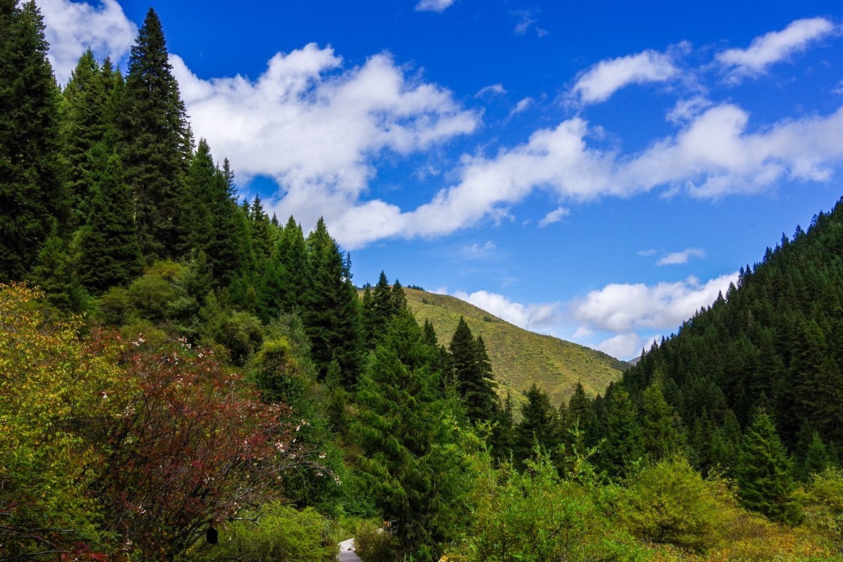 四川随拍牟尼沟所见
