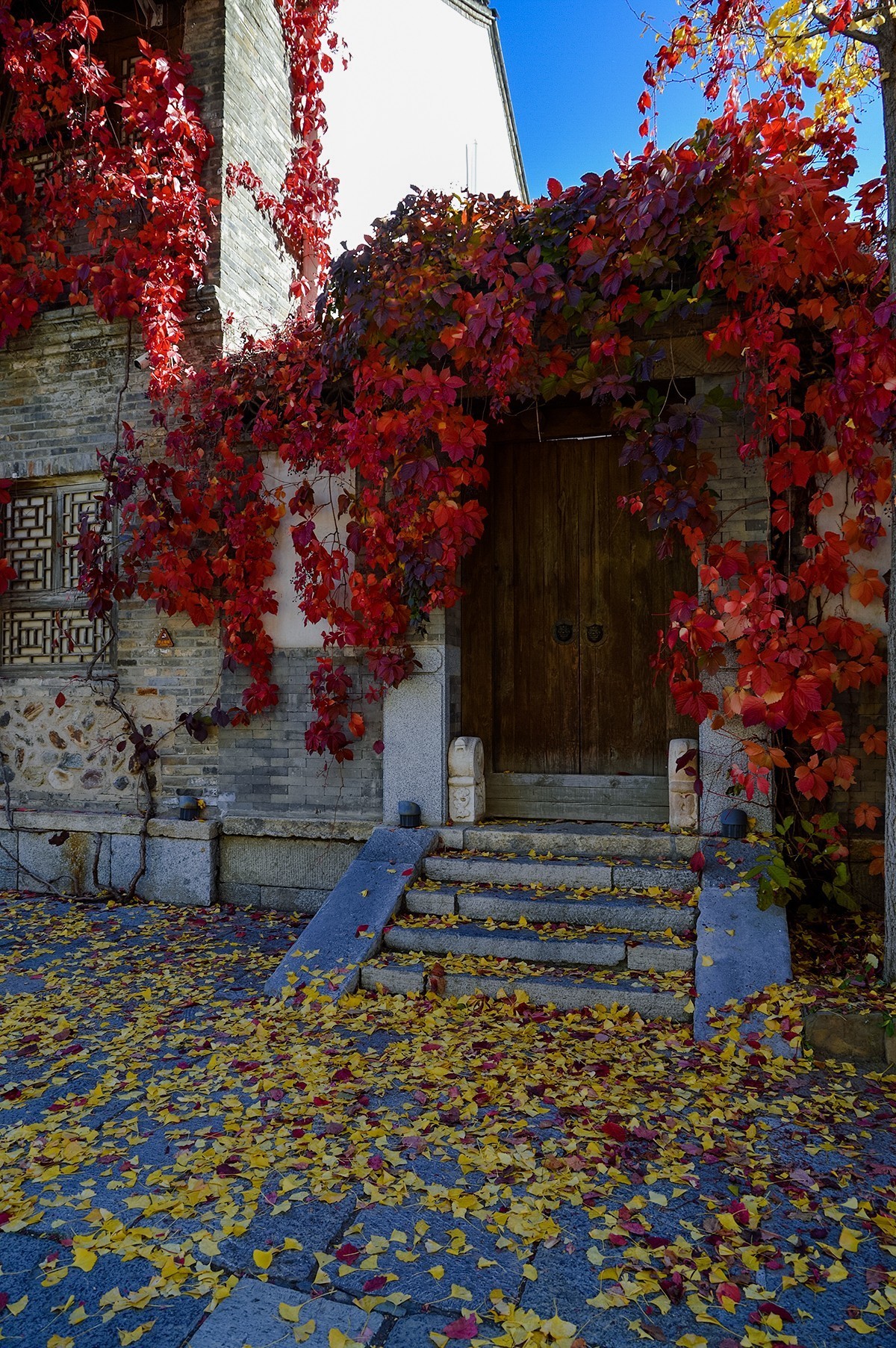 2023年-古北水镇纪实拍-1066