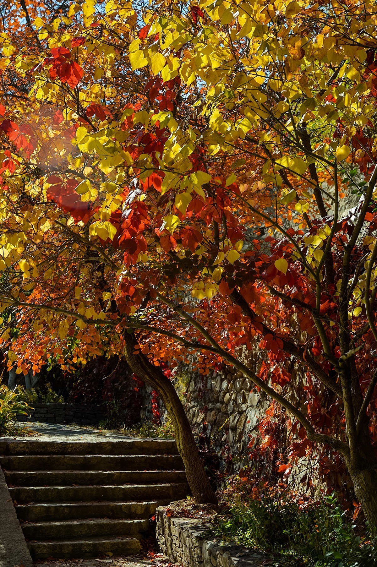 2023年-古北水镇纪实拍-1066