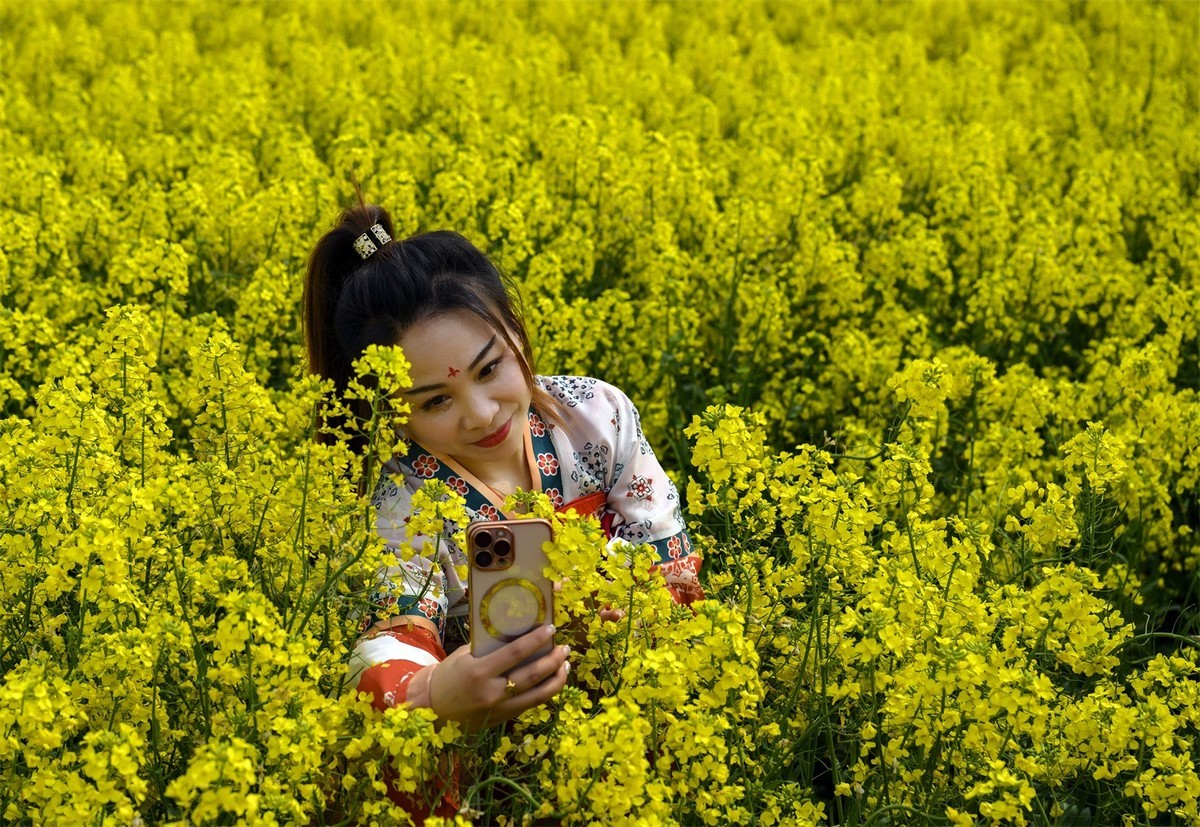 油菜花节景美人更美