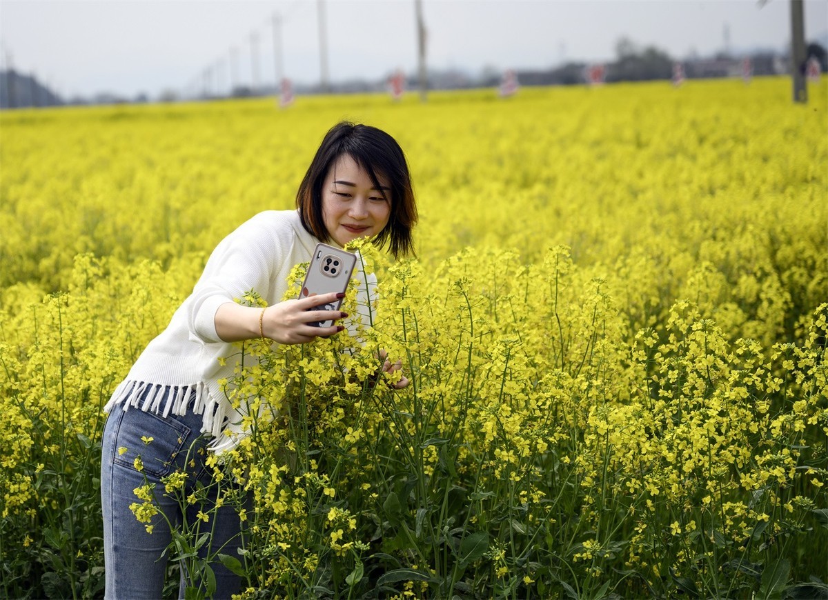 油菜花节景美人更美