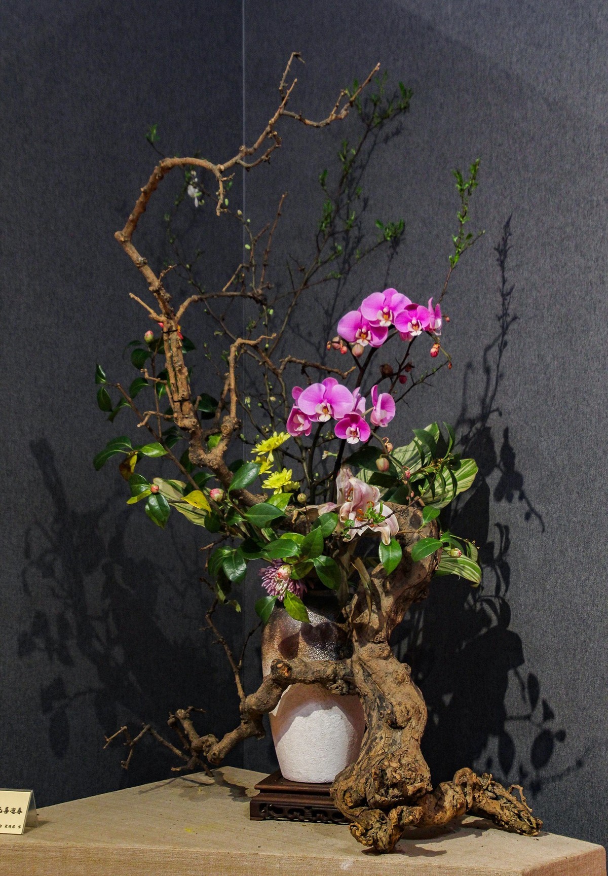 一  組  插  花  藝  術