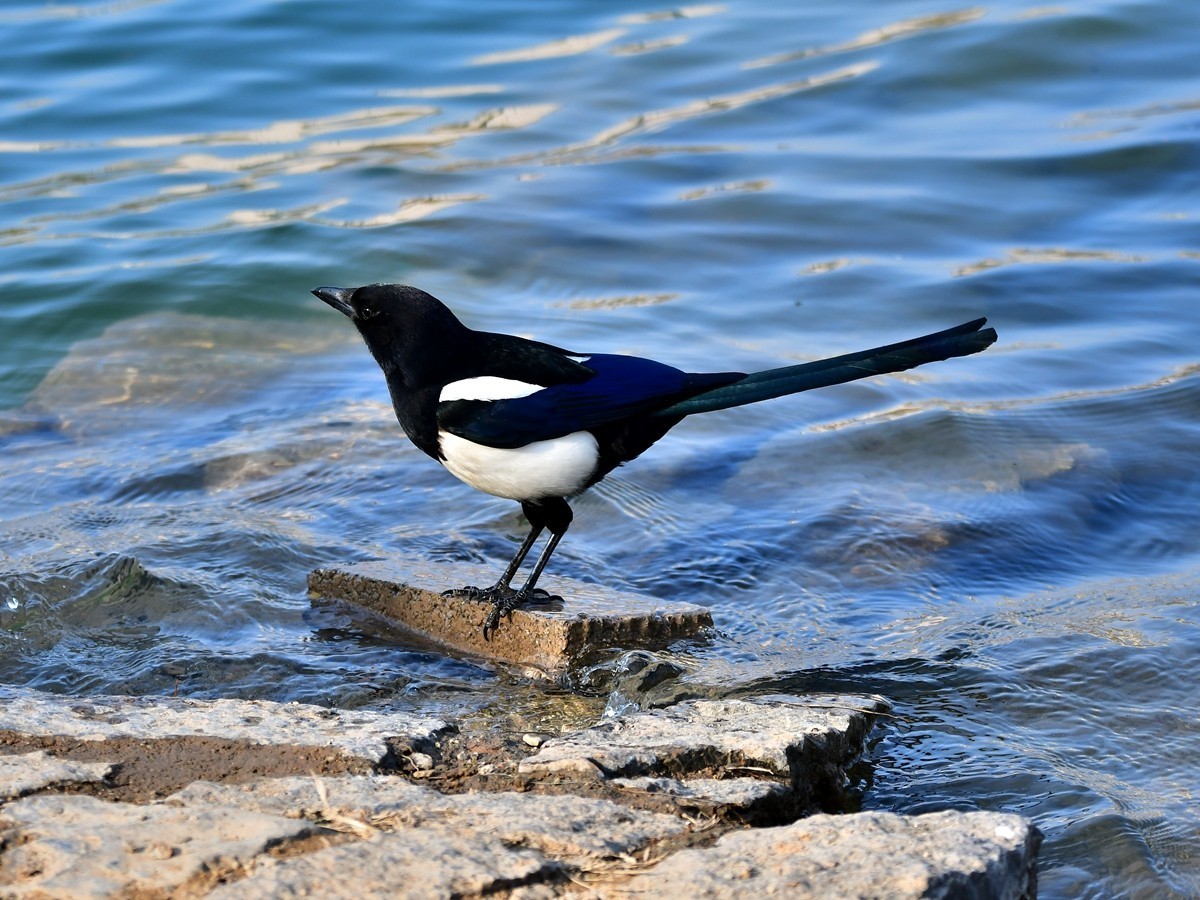 【视觉光影】随拍几张杂片