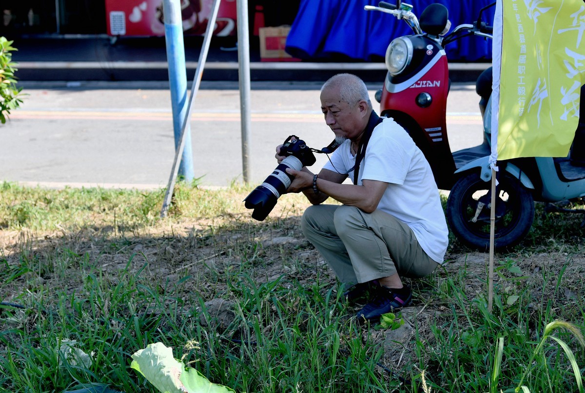 酷暑天的拍荷人