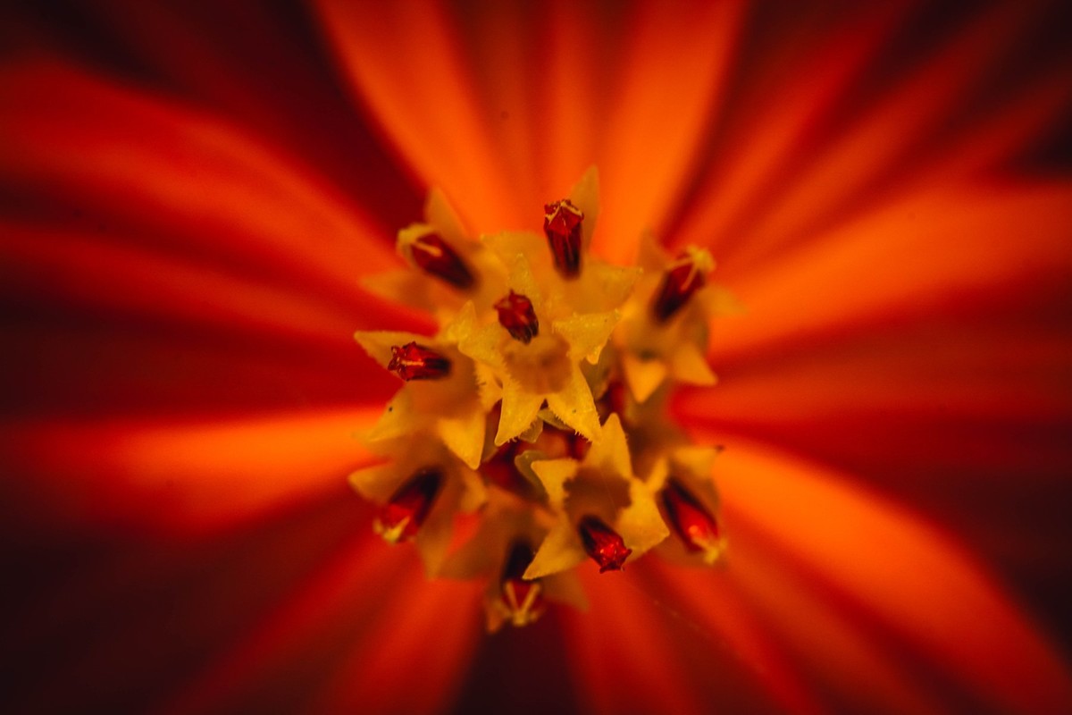 像你像他，像那野草野花。。。。