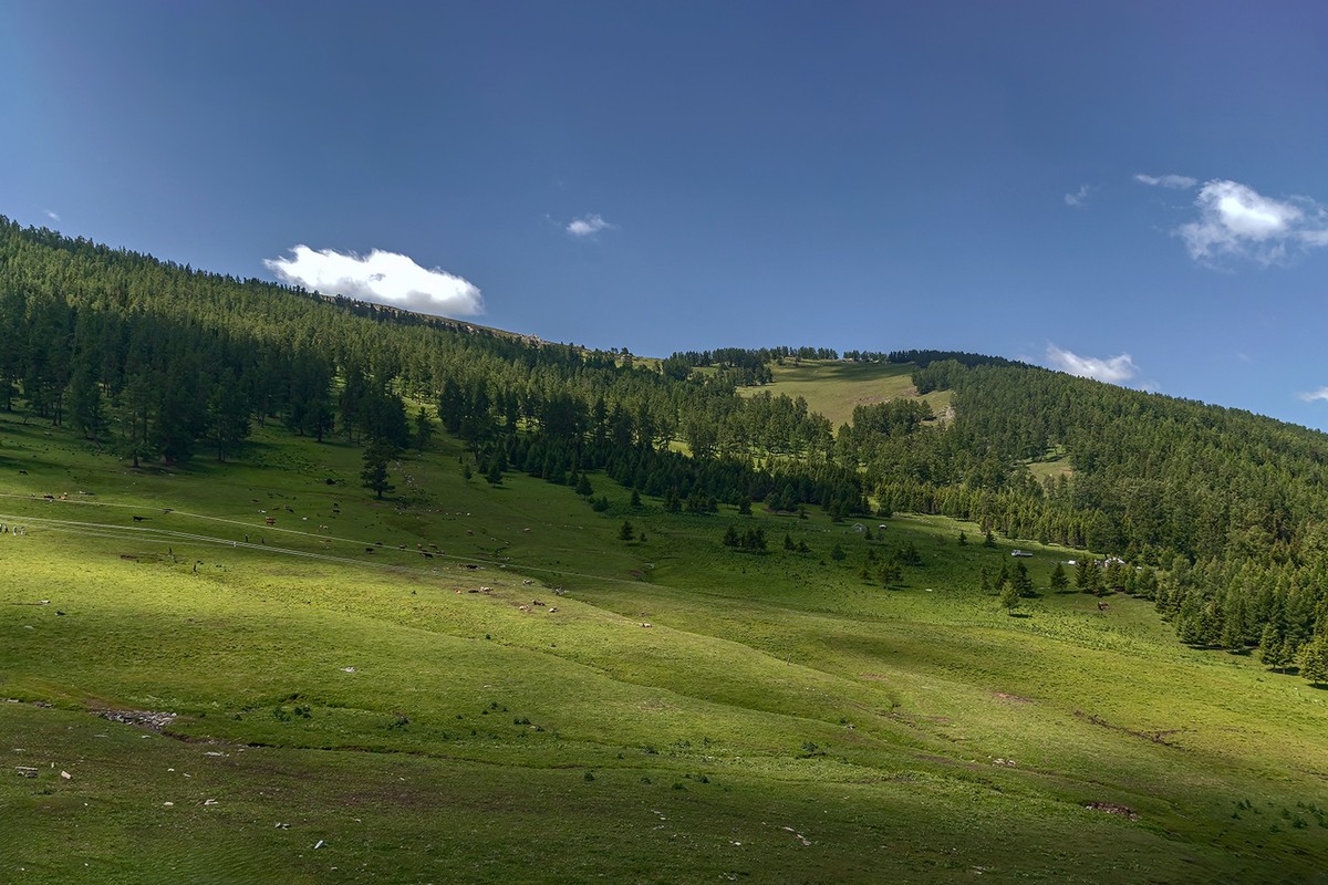 旅游记录 ：新疆 · 阿勒泰 · 布尔津 · 喀纳斯