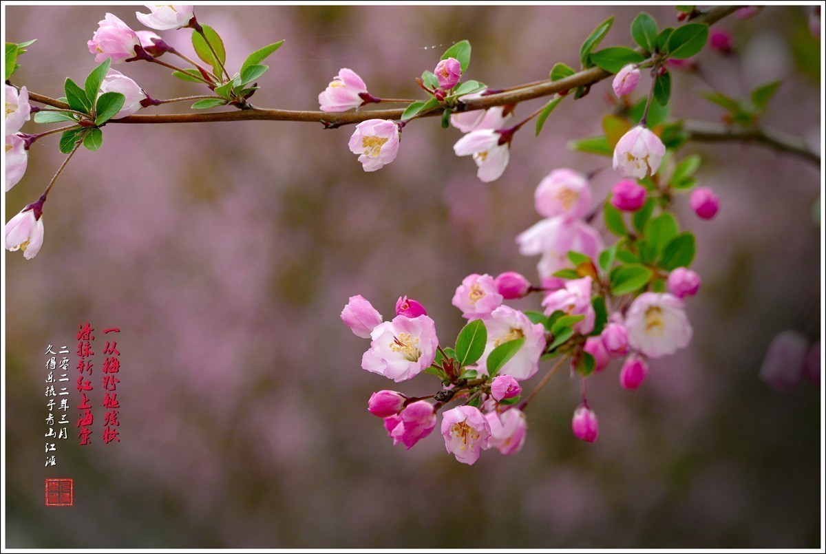 #版主坐堂#小五星空(中国)2022年3月精品荟萃