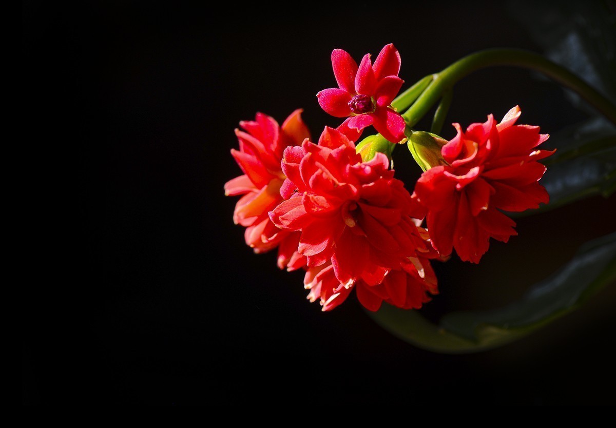 #版主坐堂#小五星空(中国)2022年3月精品荟萃