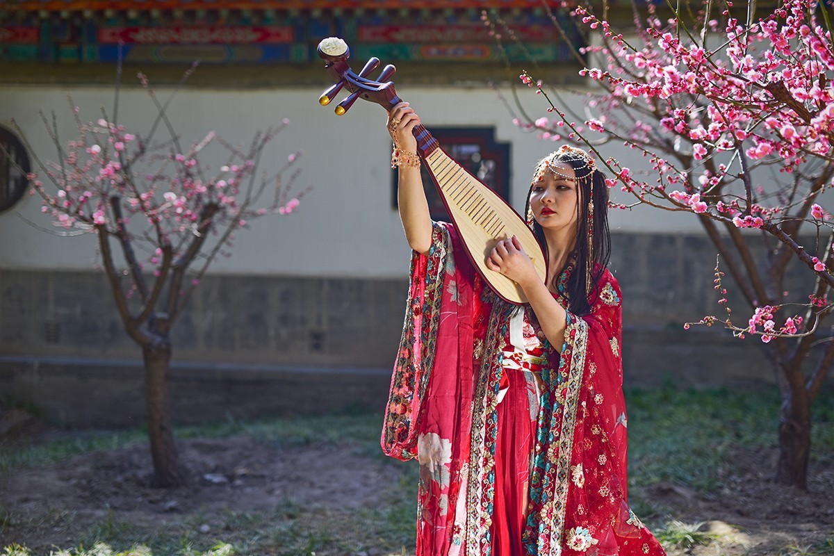 佳人梅花演绎的春日