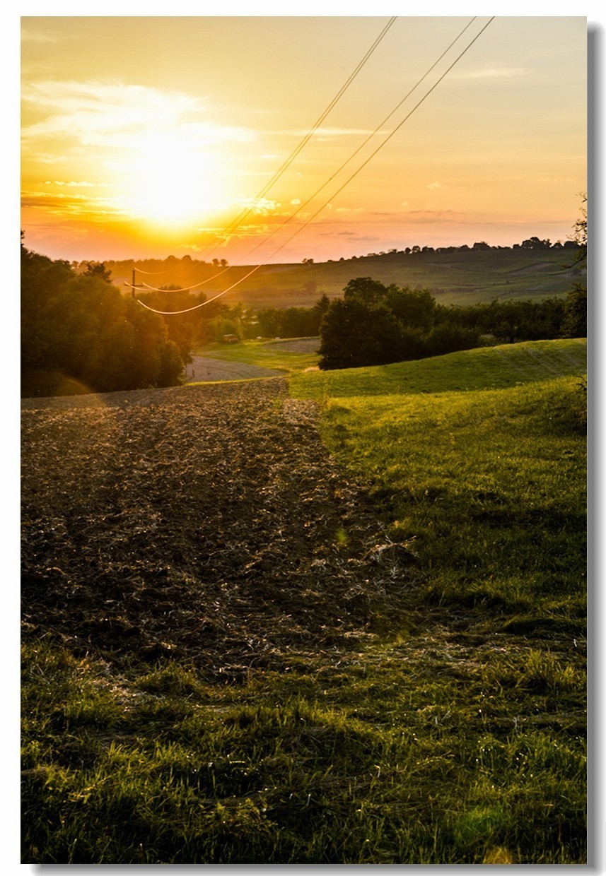 #版主坐堂#索尼大版星空(中国)2022年8月份优秀作品精选汇总