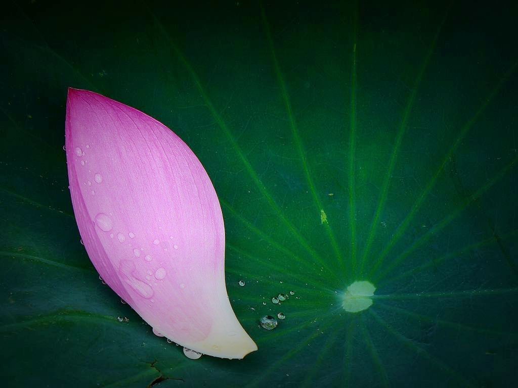 #版主坐堂#索尼大版星空(中国)2022年8月份优秀作品精选汇总