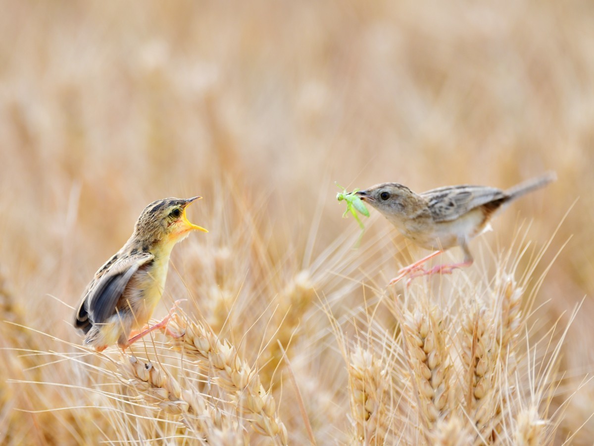 #版主坐堂#索尼大版星空(中国)2022年8月份优秀作品精选汇总