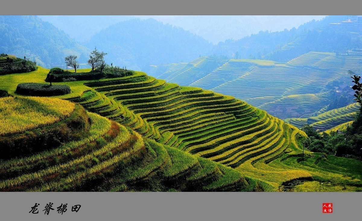 #版主坐堂#小五星空(中国)2022年8月精品荟萃