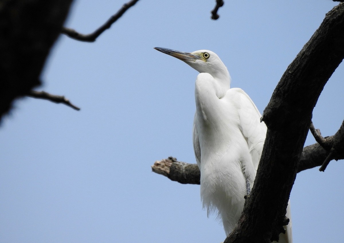 #版主坐堂#小五星空(中国)2022年8月精品荟萃