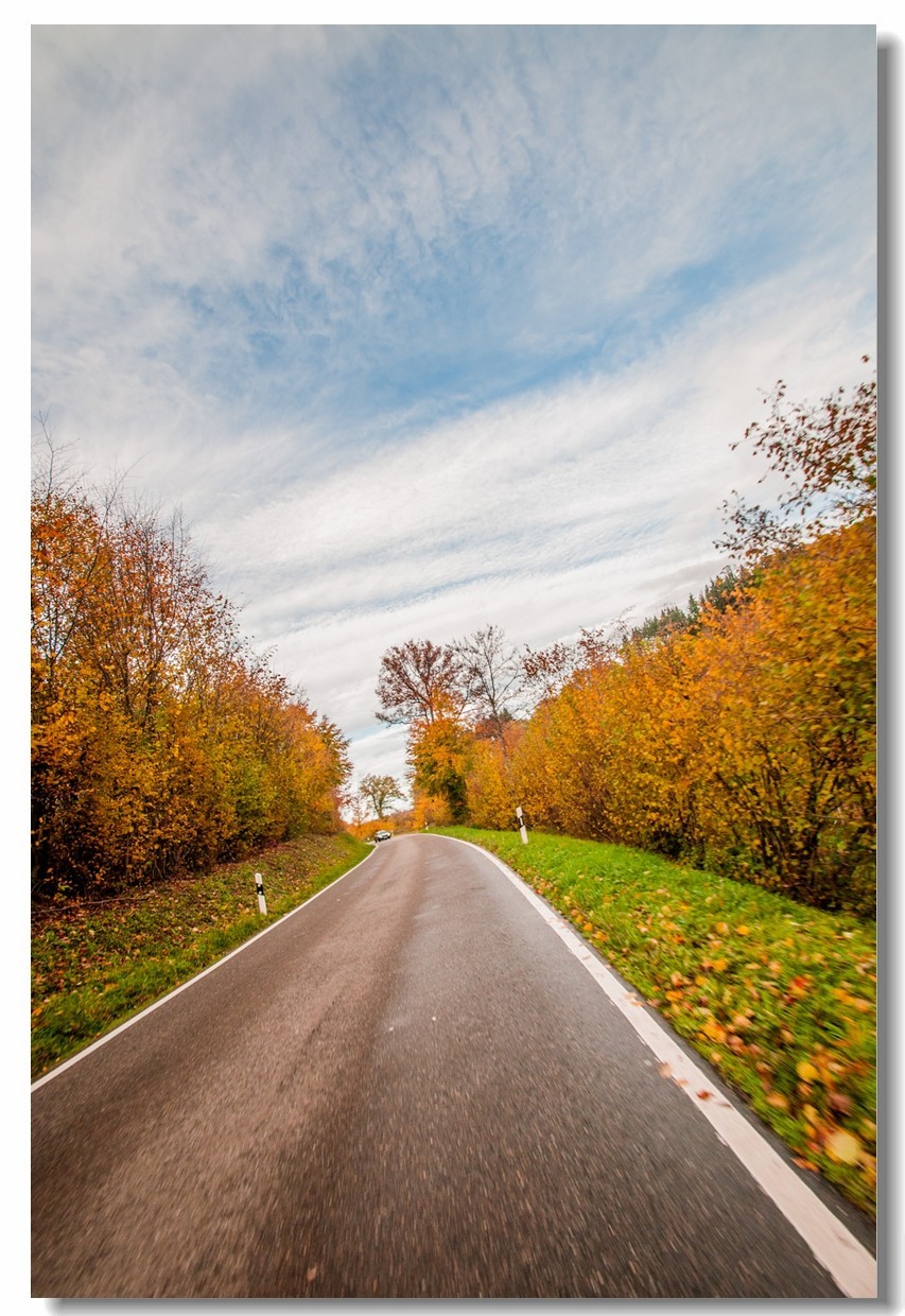 骑行追风（单手盲拍）