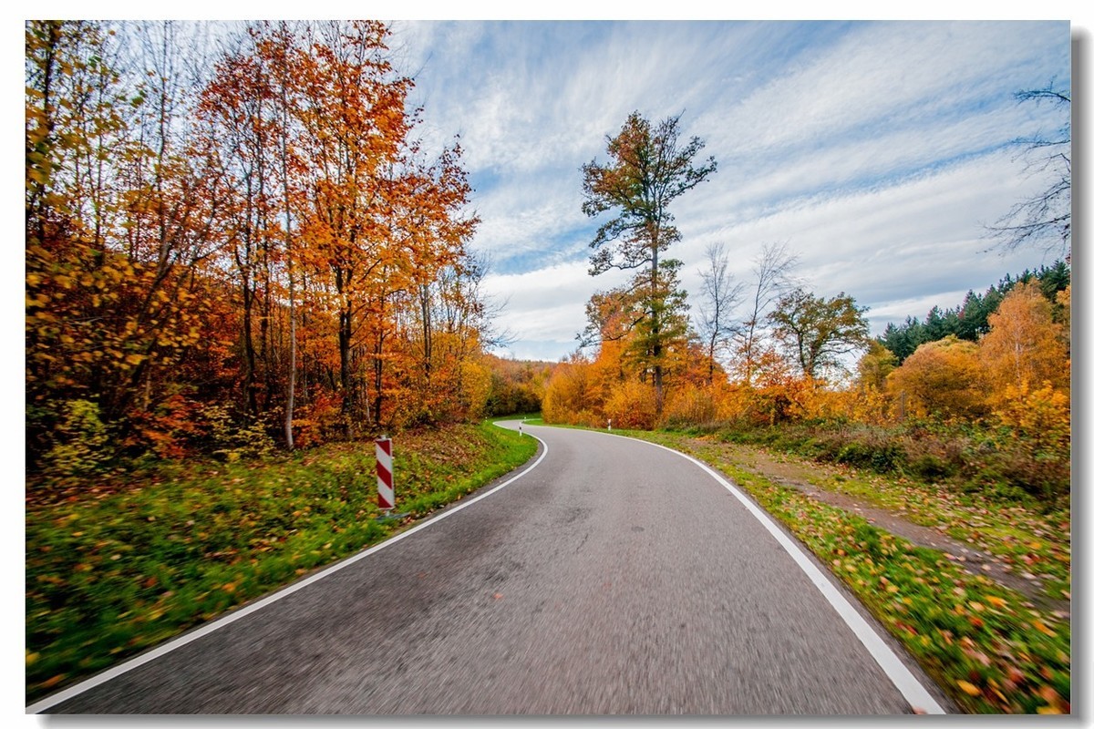 骑行追风（单手盲拍）