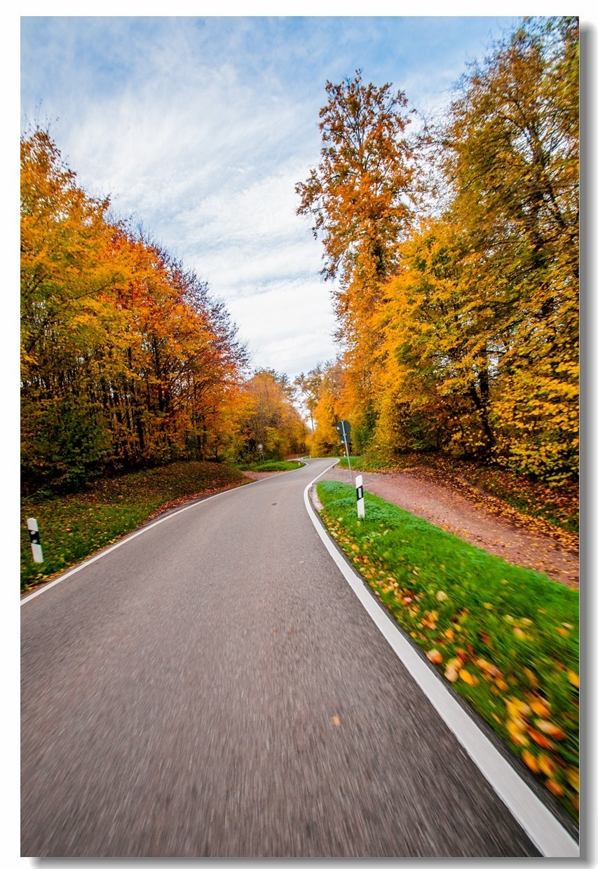 骑行追风（单手盲拍）