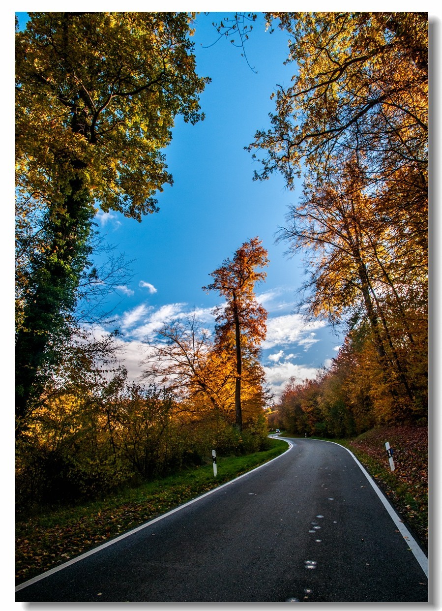 骑行追风（单手盲拍）