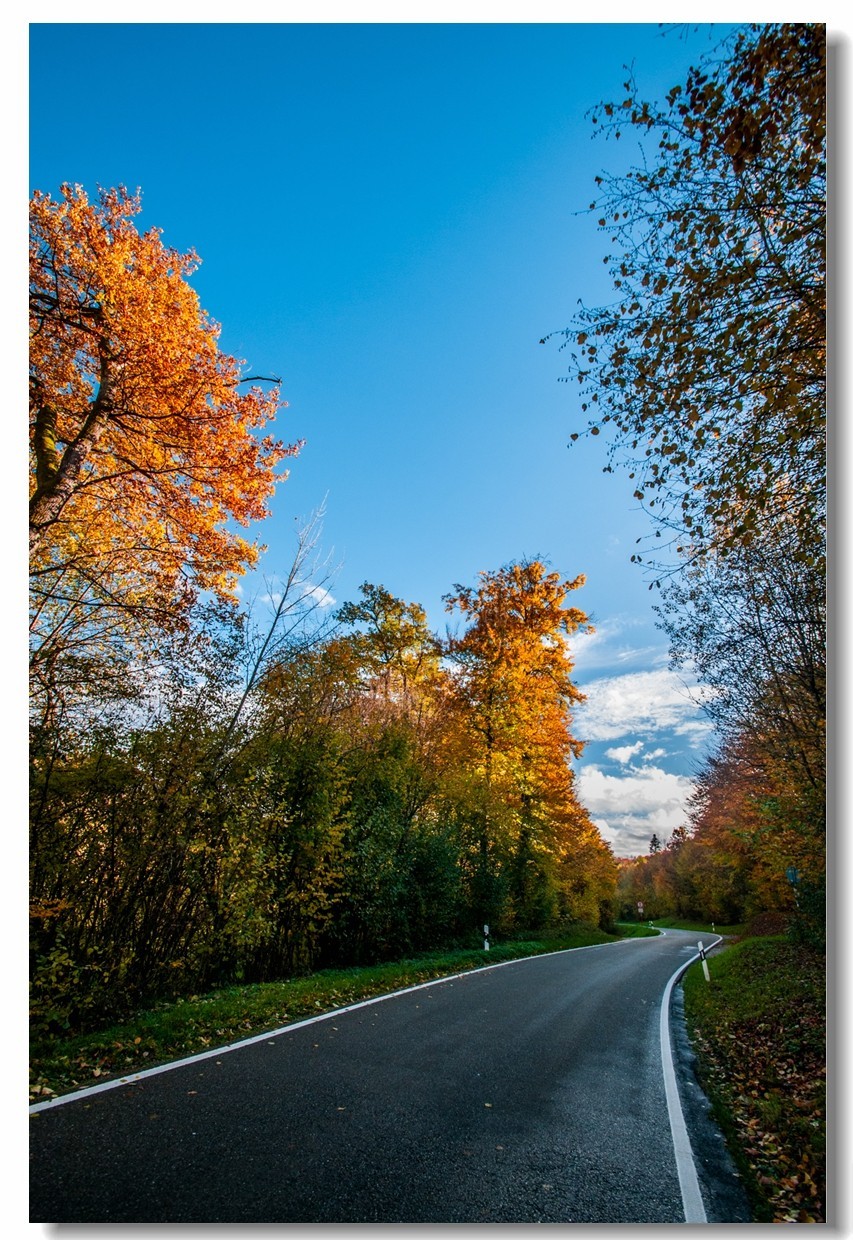 骑行追风（单手盲拍）