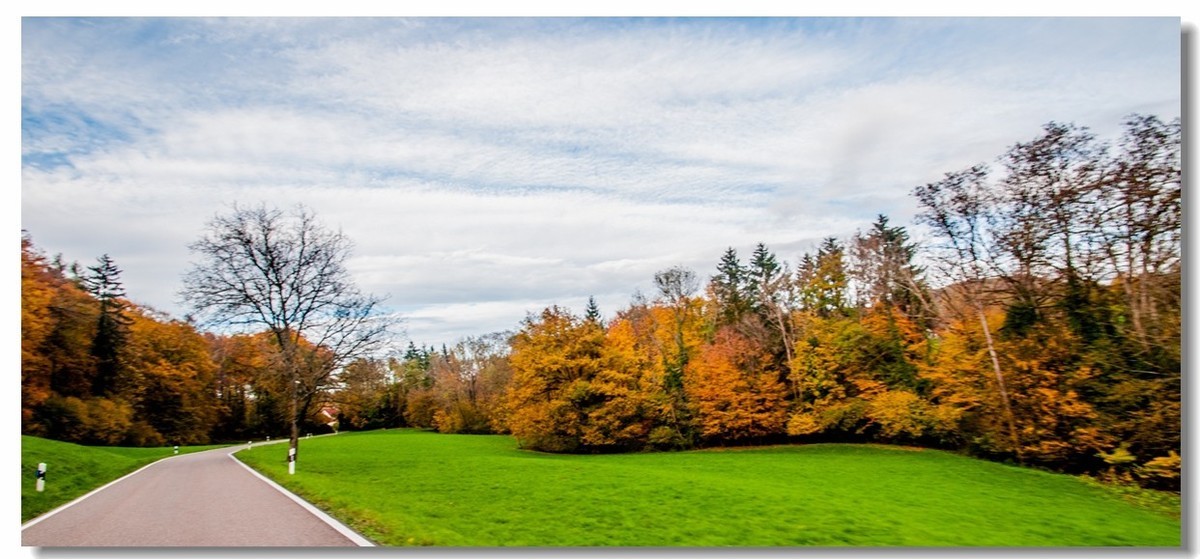 骑行追风（单手盲拍）