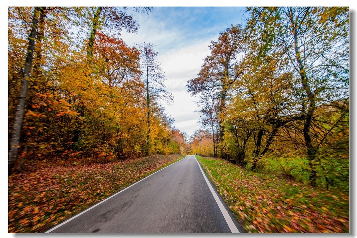骑行追风（单手盲拍）