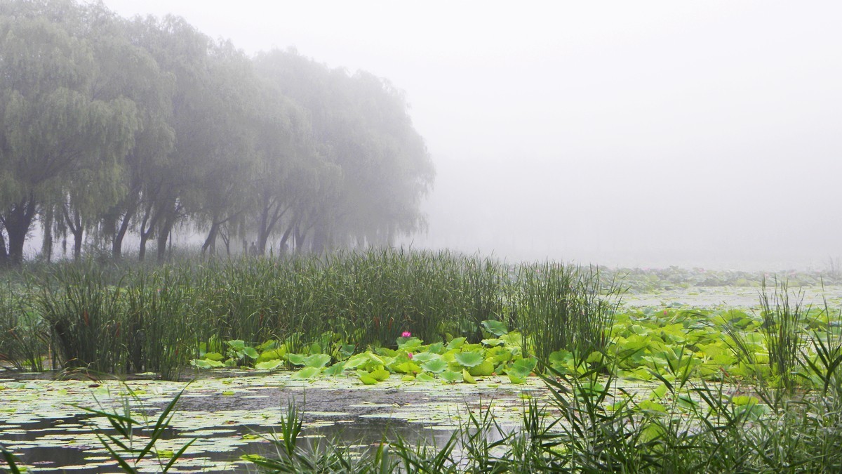 20230724为荷而来