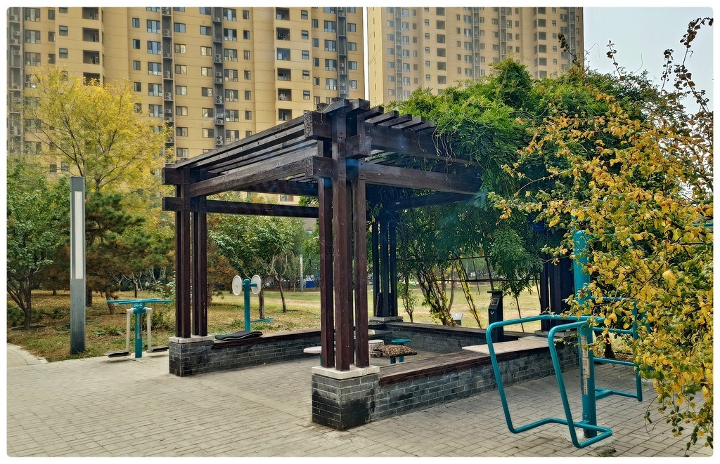 小  区  秋  色  随  拍    （手机）