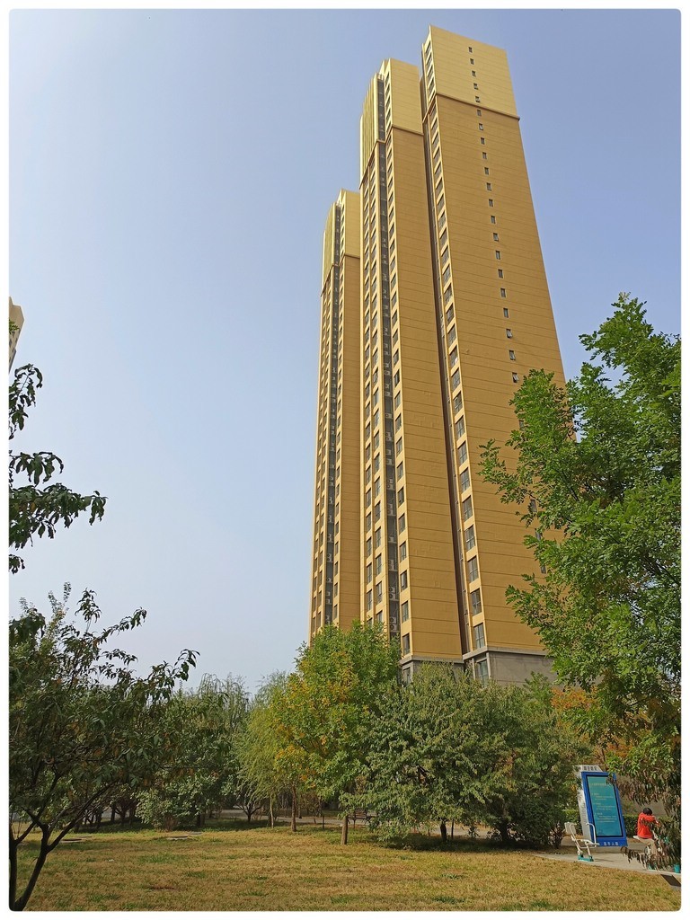 小  区  秋  色  随  拍    （手机）