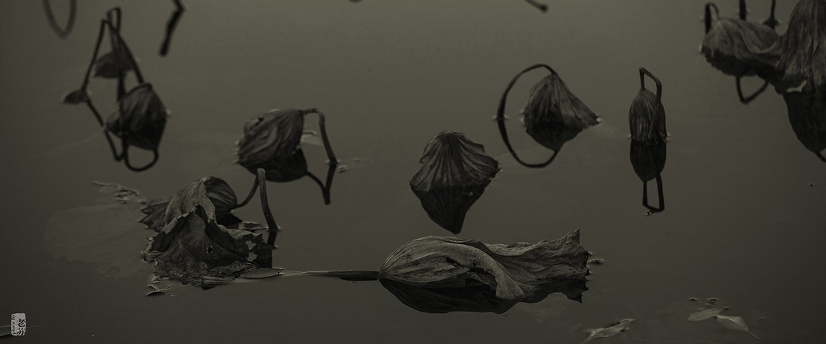 2023-11-12 残 奇怪尝试