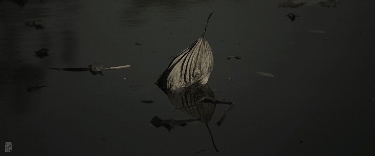 2023-11-12 残 奇怪尝试