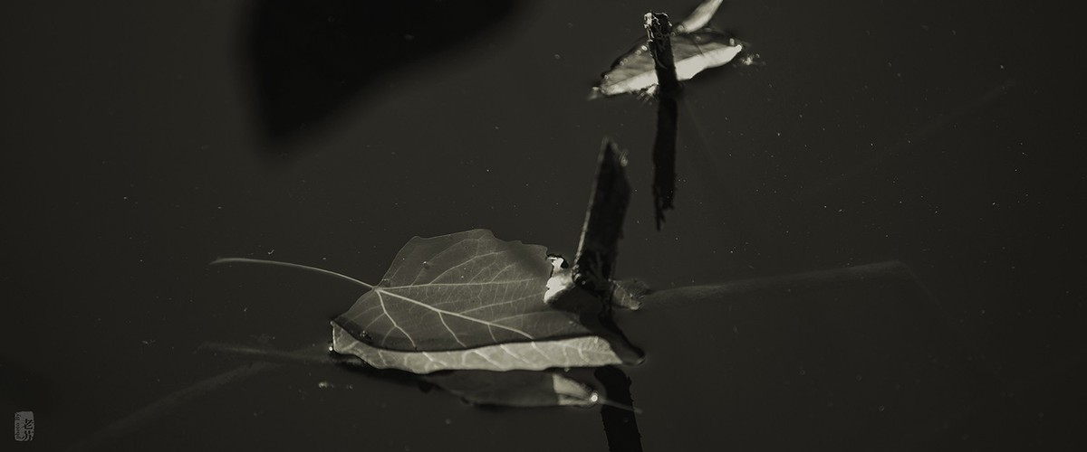 2023-11-12 残 奇怪尝试