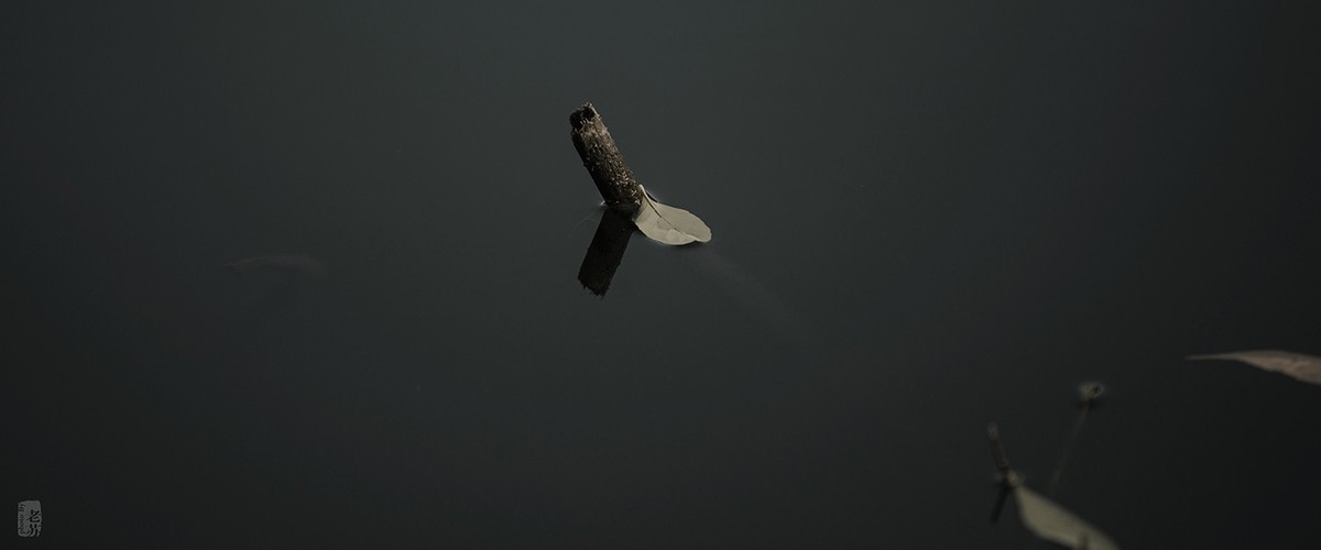 2023-11-12 残 奇怪尝试