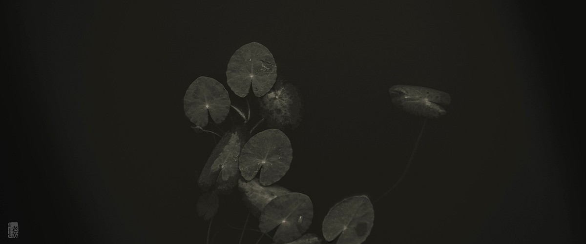 2023-11-12 残 奇怪尝试