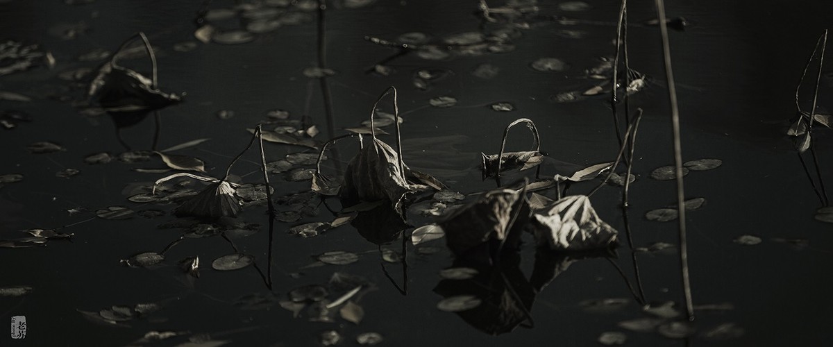 2023-11-12 残 奇怪尝试