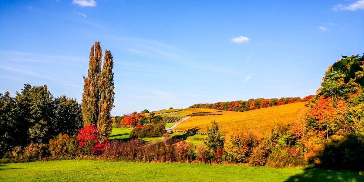南德原野秋色-中关村在线摄影论坛