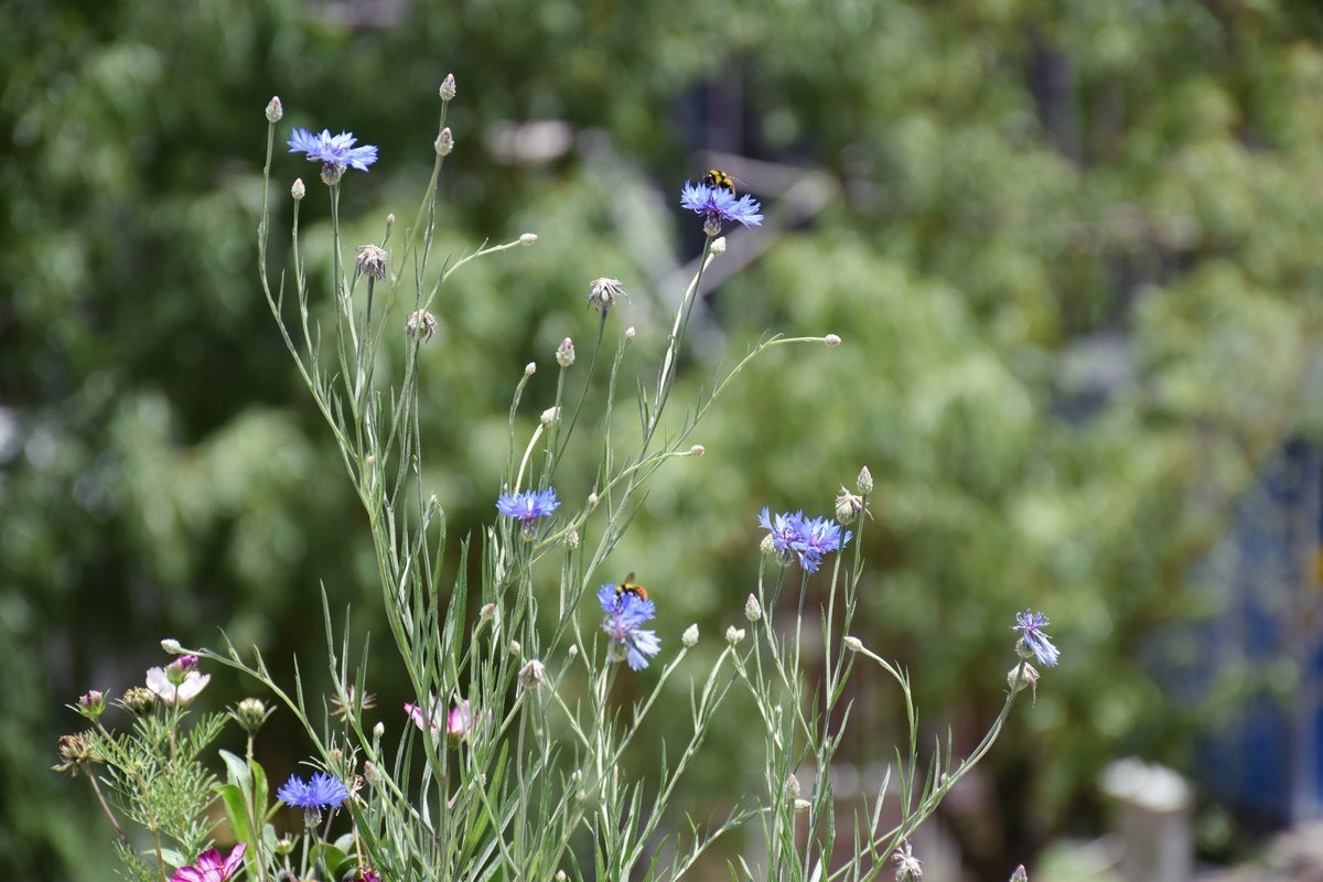 2023夏 黔赣鄂渝川（152）回顾  卓克基会议旧址